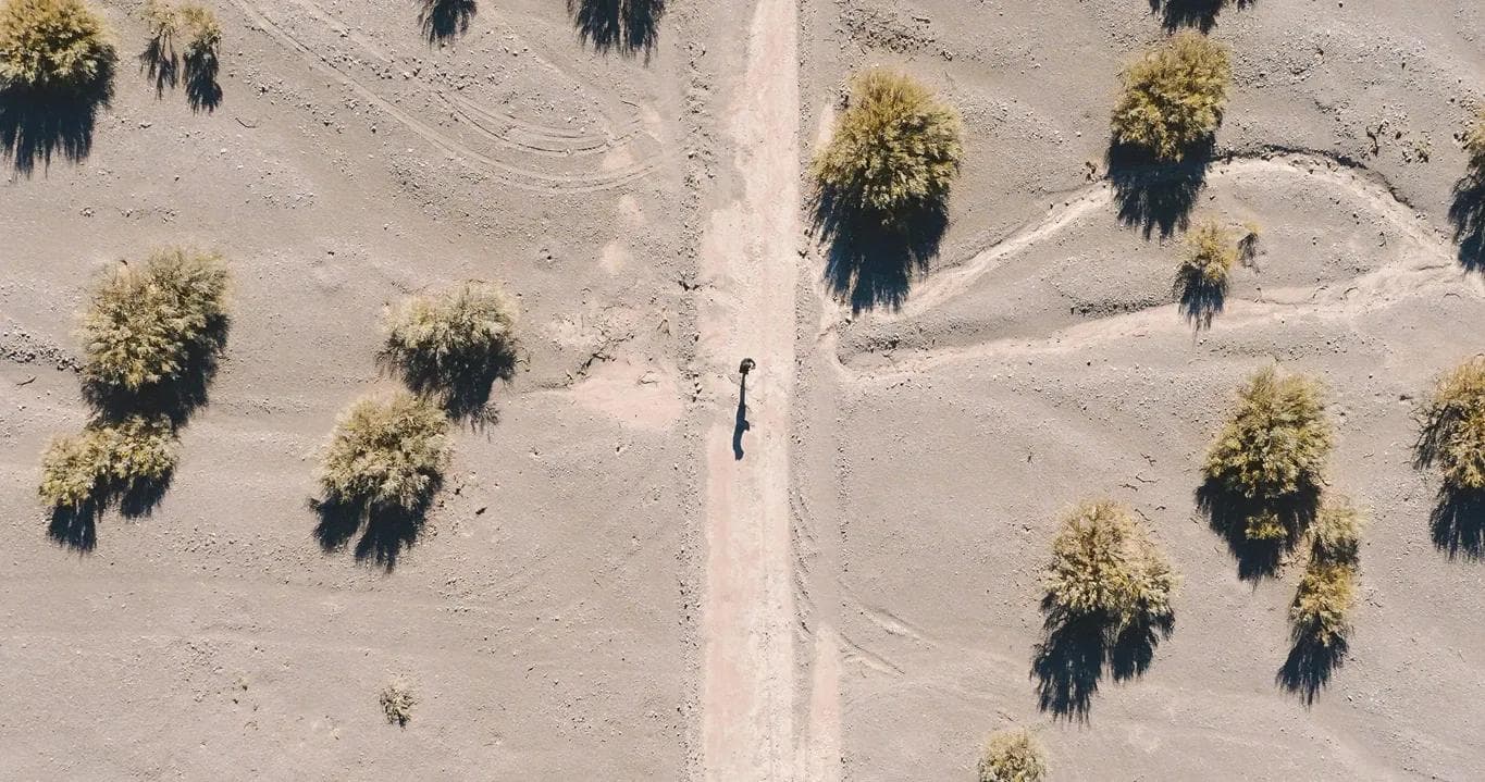 paisaje